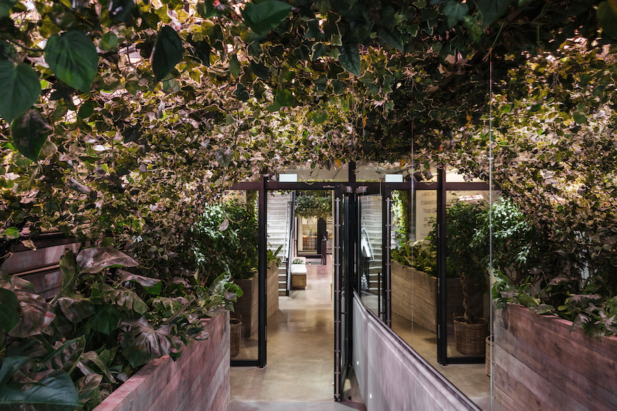 Davines House Academy