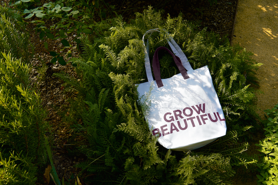 Grow Beautiful we sustain beauty Davines