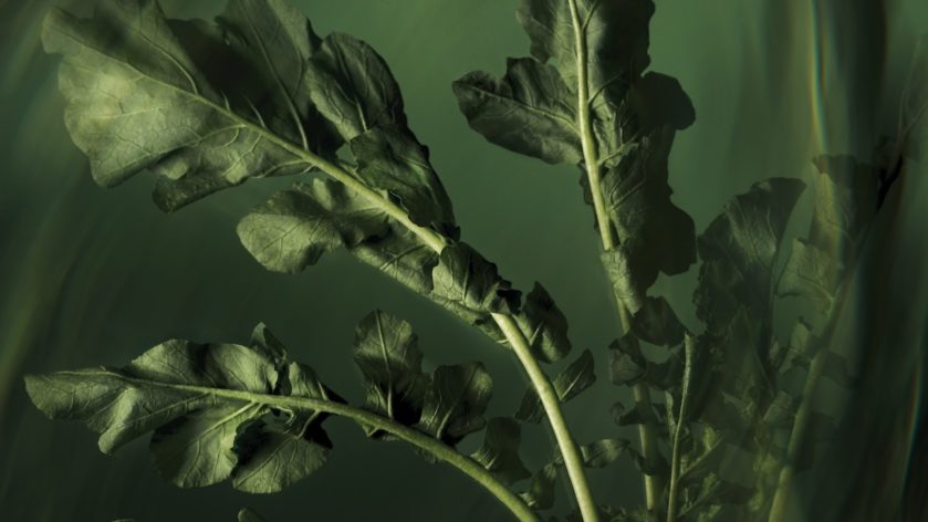 Aveda launch Miraculous Oil 