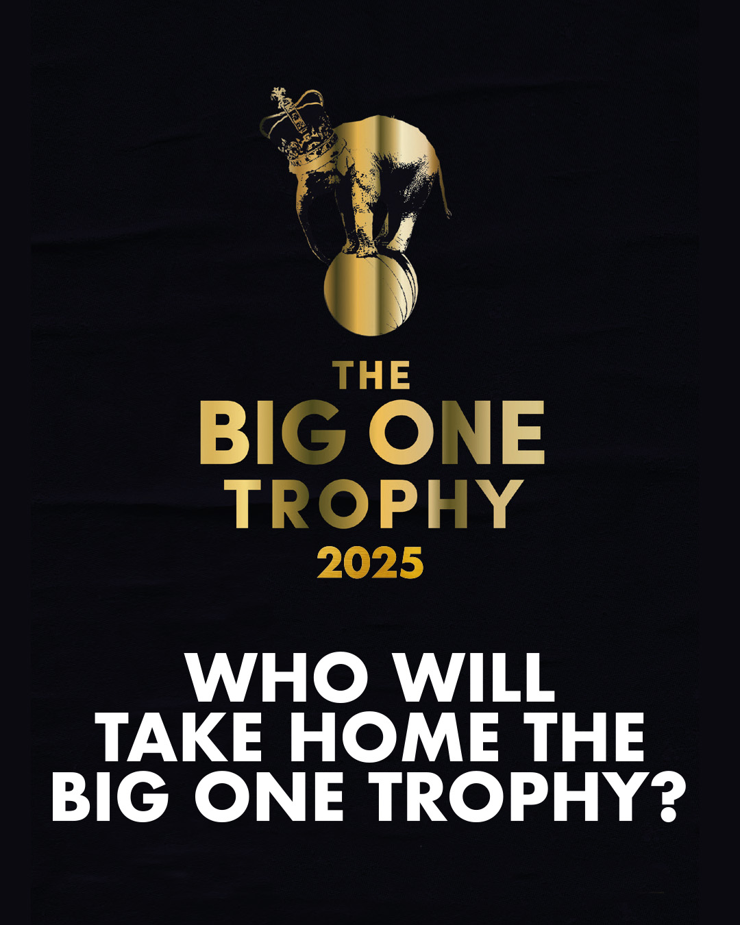 Featured image for “The Big One Finalists 2025 announced”